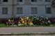 dsc_0286_small.jpg