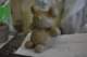 dsc_0365_small.jpg