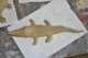 dsc_0376_small.jpg