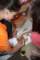 img_6763_small.jpg