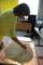 img_7016_small.jpg