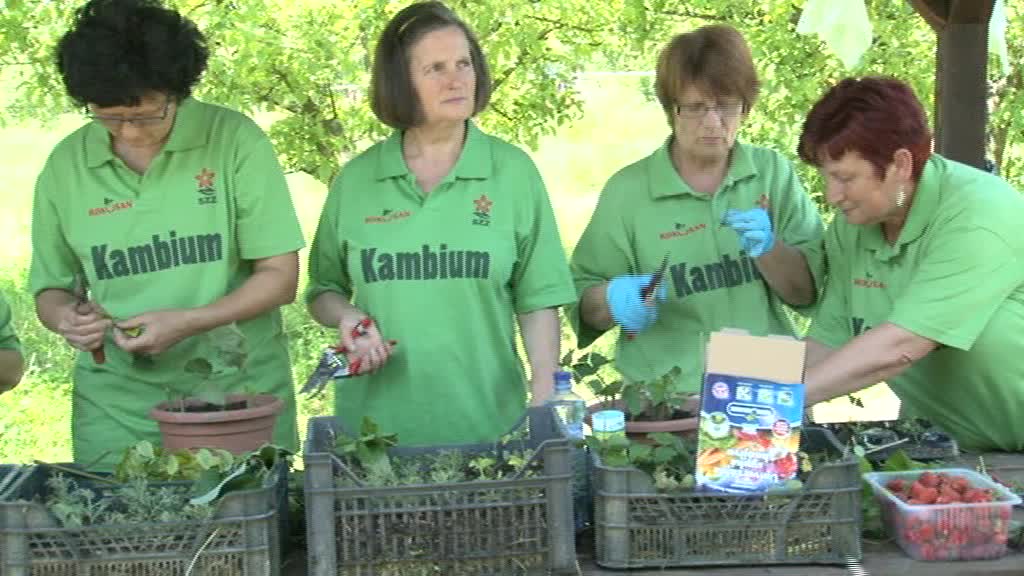 prv� plen�rna predn�ka