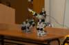 img_2288_small.jpg