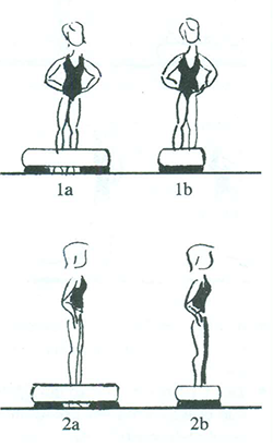Obrázok 1 a, b